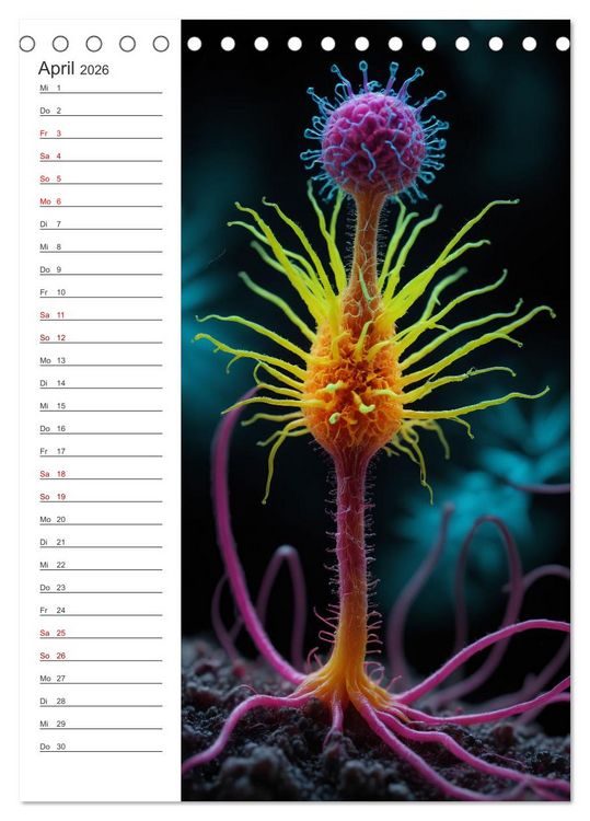 Produktbild: Leuchtende Mikroflora (Tischkalender 2026 DIN A5 hoch), CALVENDO Monatskalender