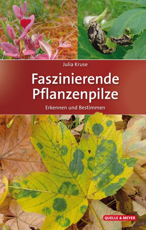 Produktbild: Faszinierende Pflanzenpilze
