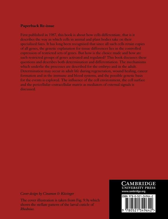 Produktbild: Cell Commitment and Differentiation