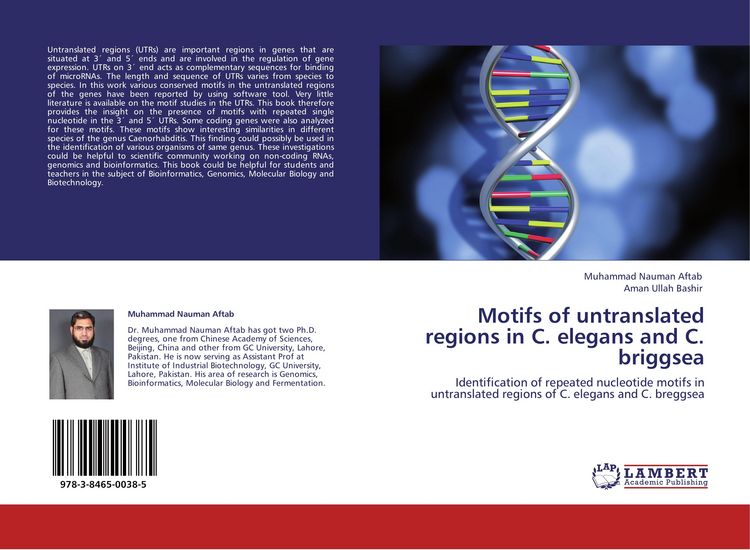 Produktbild: Motifs of untranslated regions in C. elegans and C. briggsea