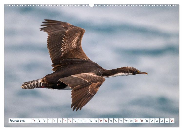 Produktbild: S&uuml;dgeorgien - Abgelegenes Naturparadies (hochwertiger Premium Wandkalender 2026 DIN A2 quer), Kunstdruck in Hochglanz