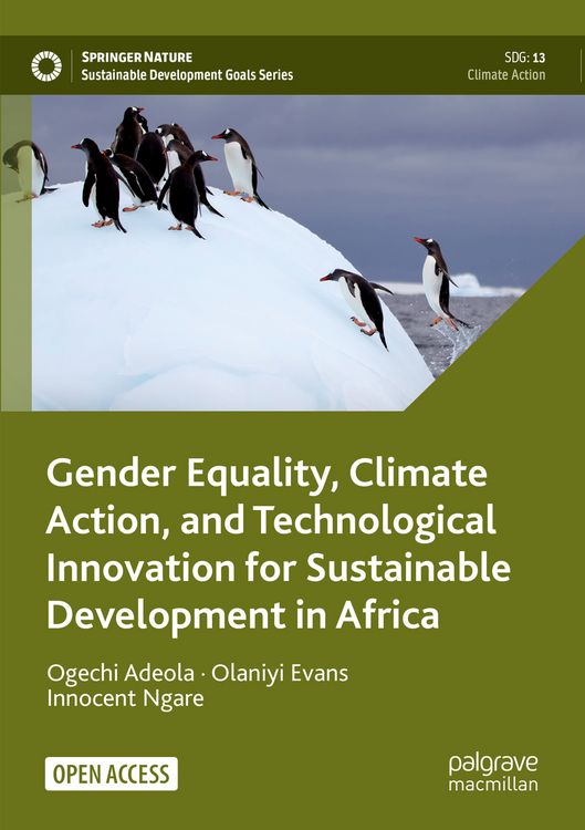 Produktbild: Gender Equality, Climate Action, and Technological Innovation for Sustainable Development in Africa