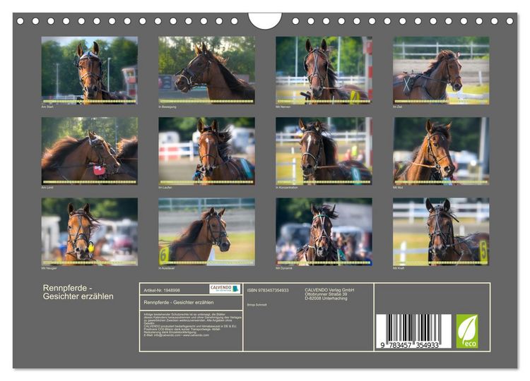 Produktbild: Rennpferde - Gesichter erz&auml;hlen (Wandkalender 2026 DIN A4 quer), CALVENDO Monatskalender