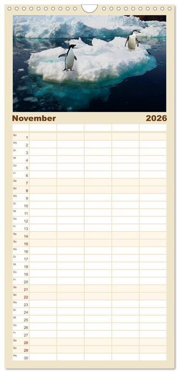Produktbild: Familienplaner 2026 - Im Reich der Pinguine mit 5 Spalten (Wandkalender, 21 x 45 cm) CALVENDO