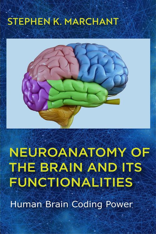 Produktbild: Neuroanatomy of the Brain and its functionalities (1, #172)