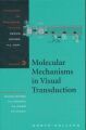 Produktbild: Molecular Mechanisms in Visual Transduction