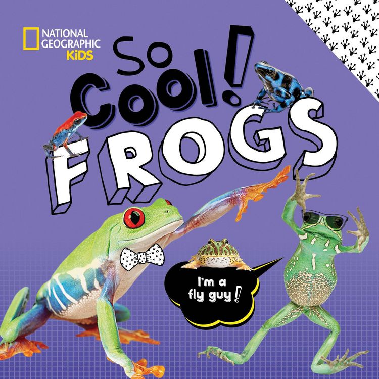 Produktbild: So Cool! Frogs