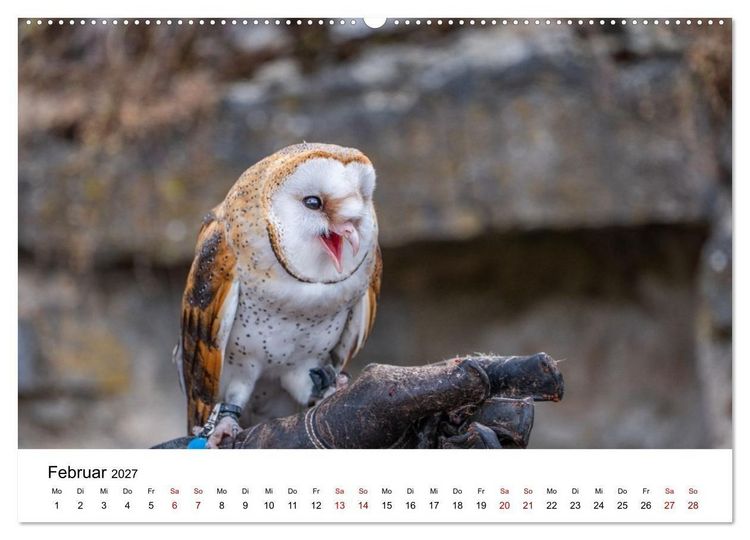 Produktbild: Greifv&ouml;gel in Aktion - Dynamische Flugbilder und Portr&auml;ts (hochwertiger Premium Wandkalender 2027 DIN A2 quer), Kunstdruck in Hochglanz