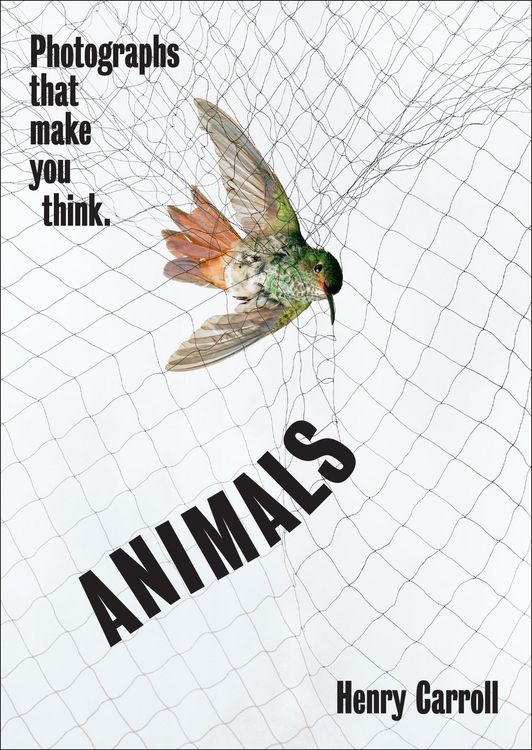 Produktbild: Animals