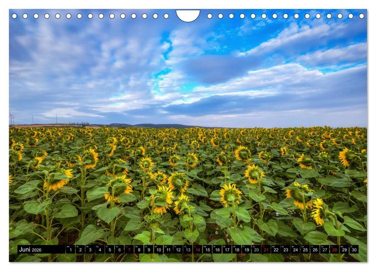 Produktbild: Zeit f&uuml;r Sonnenblumen (Wandkalender 2026 DIN A4 quer), CALVENDO Monatskalender