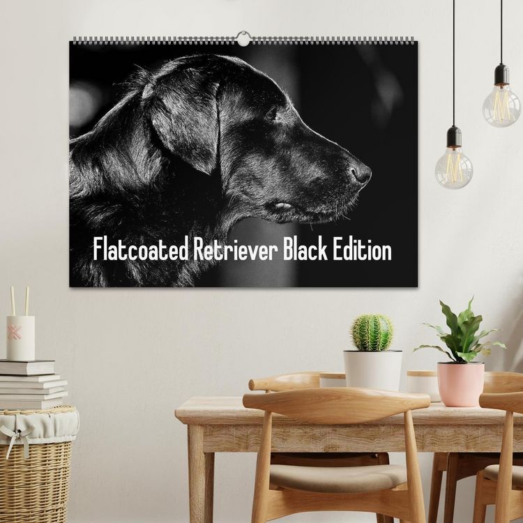Produktbild: Flatcoated Retriever Black Edition (Wandkalender 2026 DIN A2 quer), CALVENDO Monatskalender