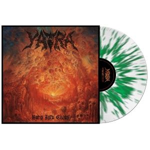Produktbild: Born Into Chaos