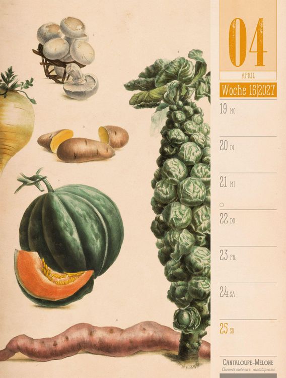 Produktbild: Culinarium Wochenplaner Kalender 2027 | K&uuml;che, Kr&auml;uter, Kurioses