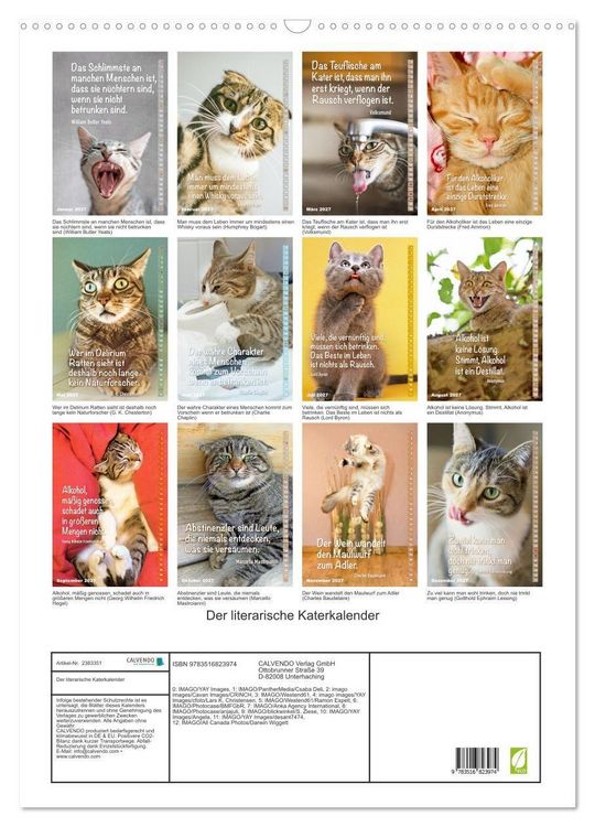 Produktbild: Der literarische Katerkalender (Wandkalender 2027 DIN A2 hoch), CALVENDO Monatskalender