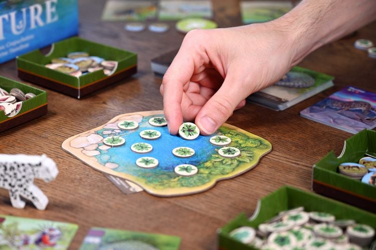 Produktbild: HABA 2014453001 - Nature, Spannendes &Ouml;kosystem-Spiel, Brett- und Kartenspiel, Strategiespiel