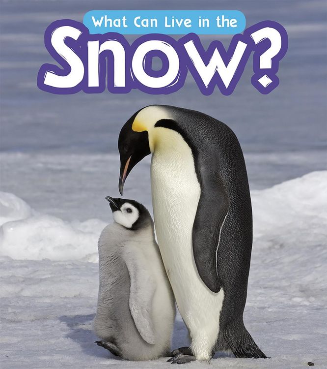 Produktbild: What Can Live in the Snow?