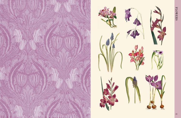 Produktbild: Botanical Art to Cut out and Collage
