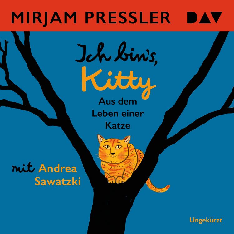 Produktbild: Ich bin's, Kitty. Aus dem Leben einer Katze