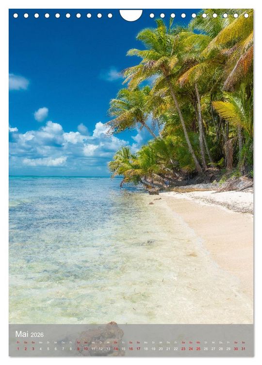 Produktbild: Karibischer Traum Isla Saona (Wandkalender 2026 DIN A4 hoch), CALVENDO Monatskalender