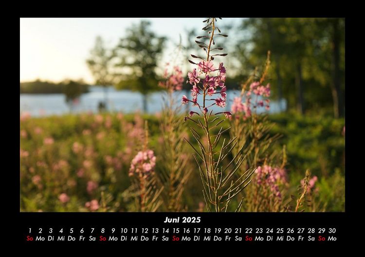 Produktbild: Blumenkalender 2025 Fotokalender DIN A3