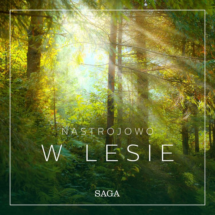 Produktbild: Nastrojowo - W lesie
