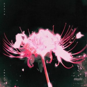 Produktbild: Death Awaits