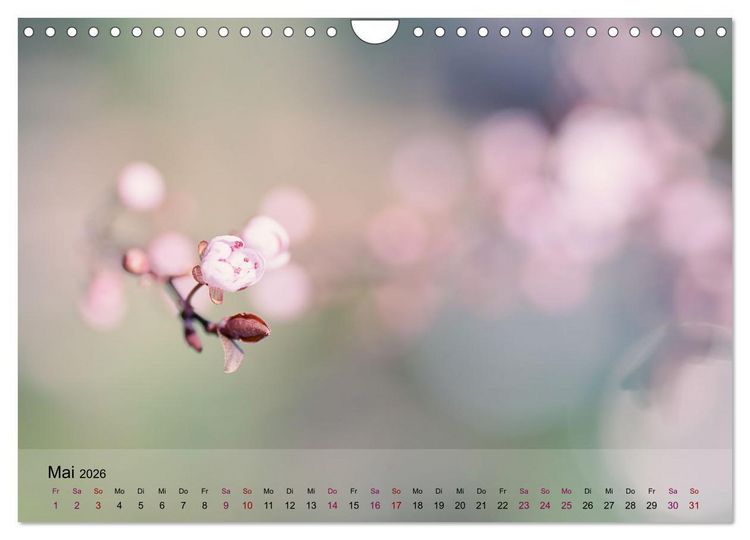 Produktbild: Bl&uuml;tenrausch - Mit Fr&uuml;hlingsgef&uuml;hlen durchs ganze Jahr (Wandkalender 2026 DIN A4 quer), CALVENDO Monatskalender