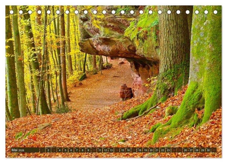 Produktbild: Der Altschlossfelsen - Gr&ouml;&szlig;te Felsformation der Pfalz im herbstlichen Farbspiel (Tischkalender 2026 DIN A5 quer), CALVENDO Monatskalender