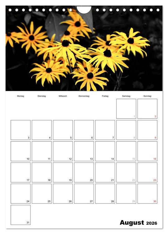 Produktbild: schwarz/wei&szlig; trifft farbe - DEIN TERMINKALENDER / Planer (Wandkalender 2026 DIN A4 hoch), CALVENDO Monatskalender