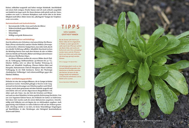 Produktbild: Handbuch Sameng&auml;rtnerei