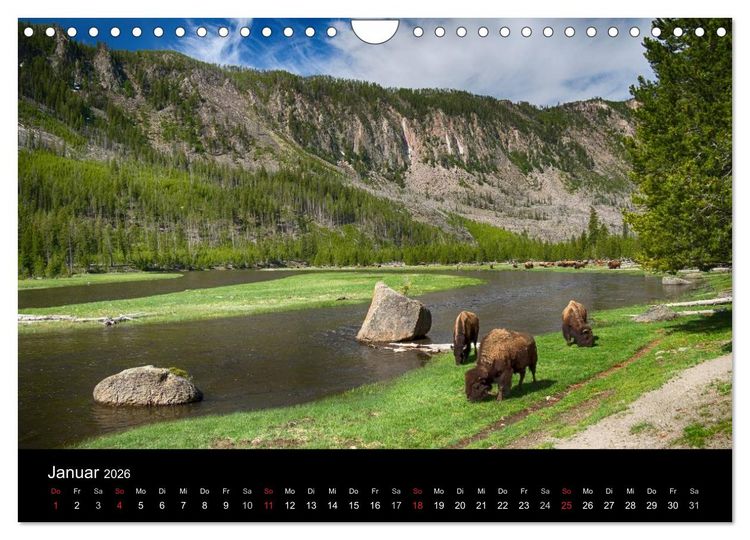 Produktbild: Traumziele in den USA. Der Yellowstone National Park (Wandkalender 2026 DIN A4 quer), CALVENDO Monatskalender