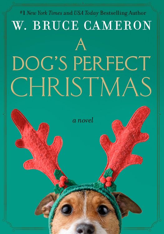 Produktbild: A Dog's Perfect Christmas
