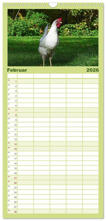 Produktbild: Familienplaner 2026 - Die H&uuml;hner sind los! mit 5 Spalten (Wandkalender, 21 x 45 cm) CALVENDO