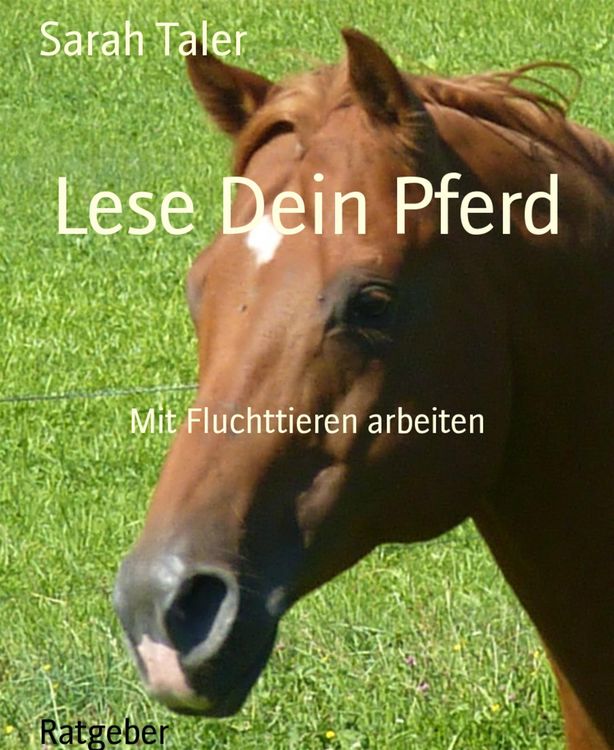 Produktbild: Lese Dein Pferd