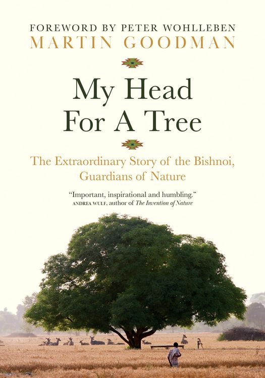 Produktbild: My Head for a Tree