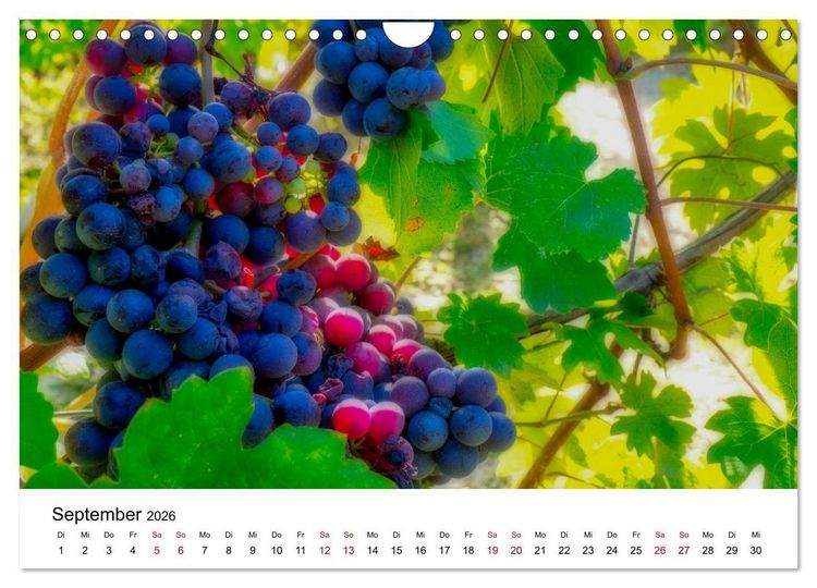 Produktbild: Piemont und Turin (Wandkalender 2026 DIN A4 quer), CALVENDO Monatskalender