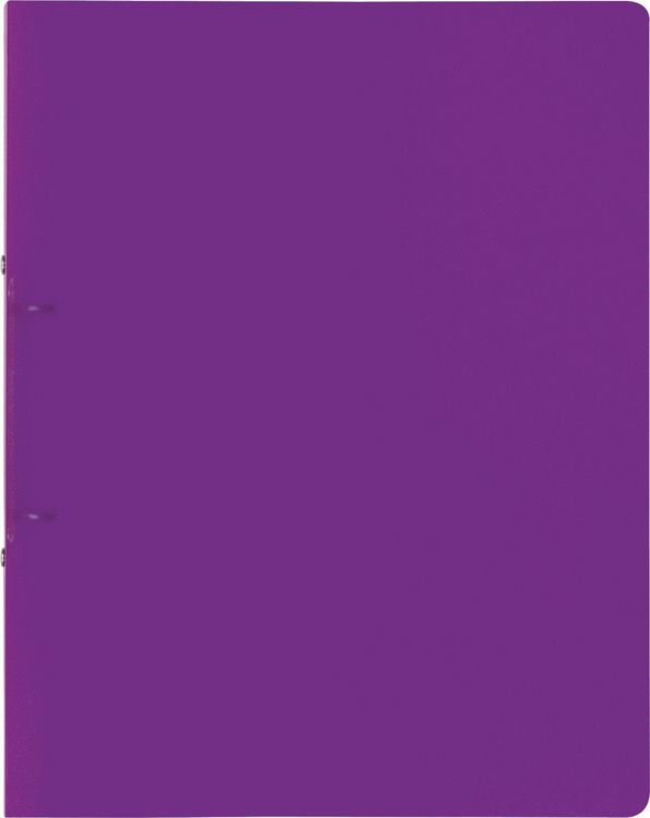 Produktbild: Brunnen Ringbuch FACT!pp &brvbar; A4, 2 Ringe, F&uuml;llh&ouml;he: 25 mm, purple