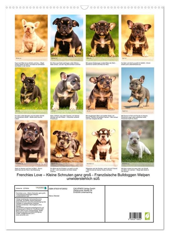Produktbild: Frenchies Love &ndash; Kleine Schnuten ganz gro&szlig; - Franz&ouml;sische Bulldoggen Welpen unwiderstehlich s&uuml;&szlig; (Wandkalender 2026 DIN A2 hoch), CALVENDO Monatskalender