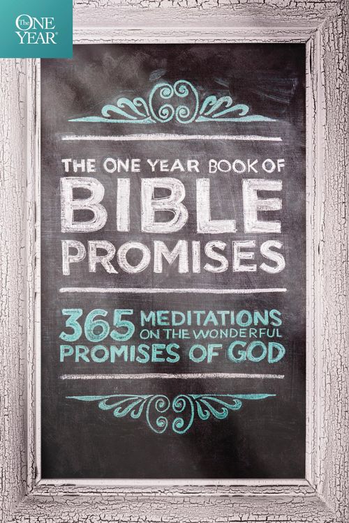 Produktbild: The One Year Book of Bible Promises