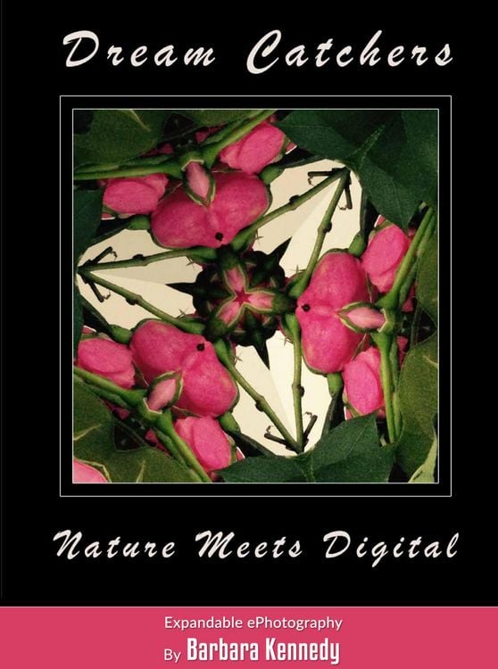 Produktbild: DREAM CATCHERS - Nature Meets Digital