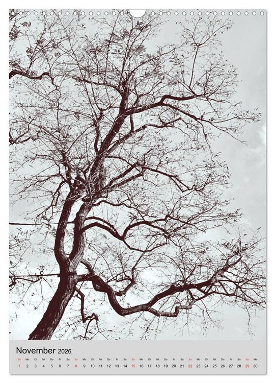 Produktbild: Natur monochrom Die besondere Wirkung (Wandkalender 2026 DIN A3 hoch), CALVENDO Monatskalender