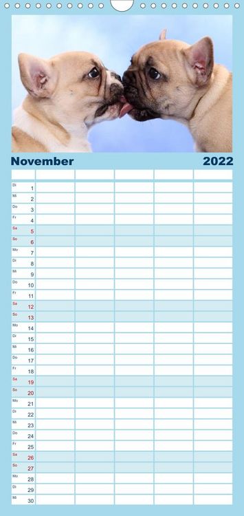 Produktbild: Bullys - Franz&ouml;sische Bulldoggen 2022 - Familienplaner hoch (Wandkalender 2022 , 21 cm x 45 cm, hoch)
