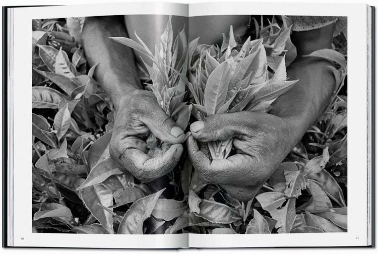 Produktbild: Sebasti&atilde;o Salgado. La main de l'homme. Une arch&eacute;ologie de l'&egrave;re industrielle