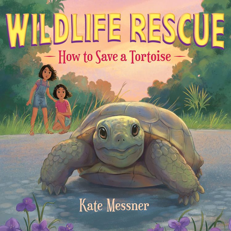 Produktbild: How to Save a Tortoise