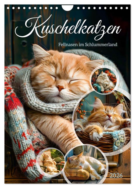 Produktbild: Kuschelkatzen - Fellnasen im Schlummerland (Wandkalender 2026 DIN A4 hoch), CALVENDO Monatskalender