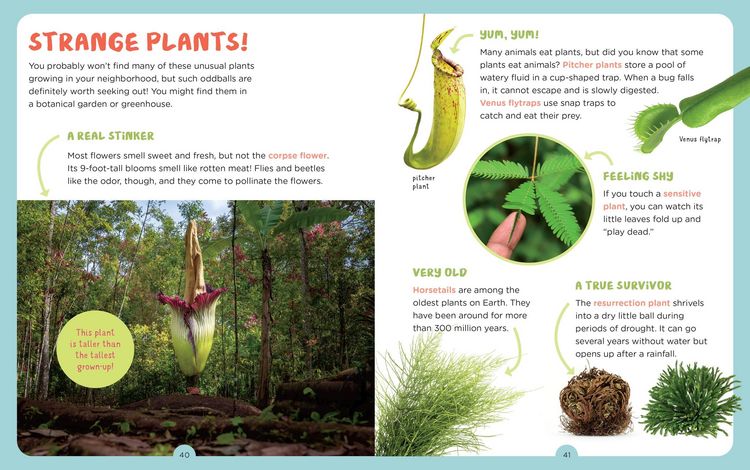 Produktbild: Publishing, E: Backpack Explorer: Discovering Plants and Flo