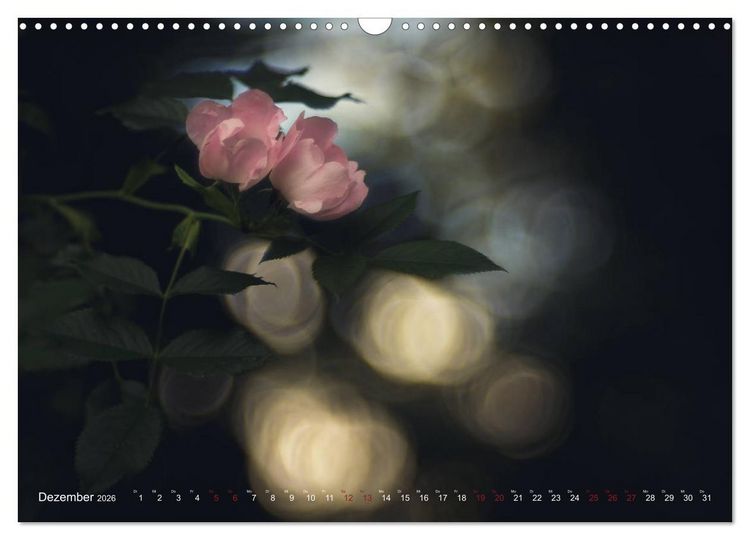 Produktbild: Die Welt der Alten Rosen (Wandkalender 2026 DIN A3 quer), CALVENDO Monatskalender