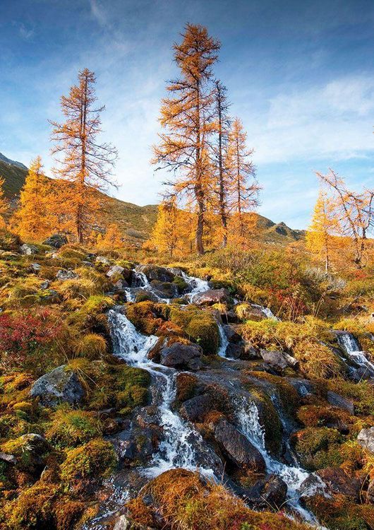 Produktbild: Vorarlberg