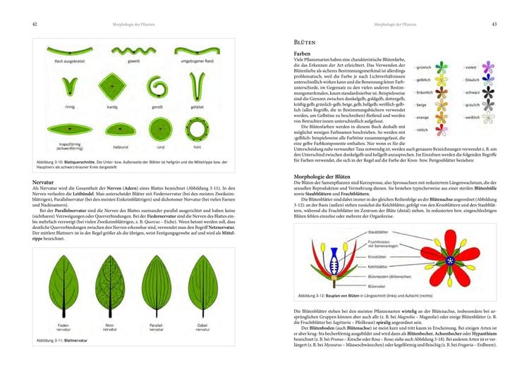 Produktbild: Alpenflora