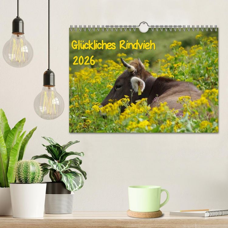 Produktbild: Gl&uuml;ckliches Rindvieh 2026 (Wandkalender 2026 DIN A4 quer), CALVENDO Monatskalender